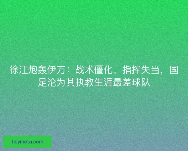 徐江炮轰伊万：战术僵化、指挥失当，国足沦为其执教生涯最差球队