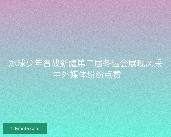 冰球少年备战新疆第二届冬运会展现风采 中外媒体纷纷点赞 冰球少年备战新疆第二届冬运会展现风采 中外媒体纷纷点赞
