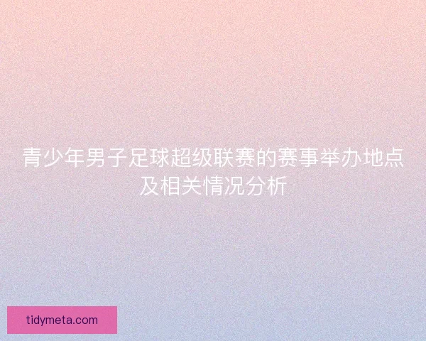 青少年男子足球超级联赛的赛事举办地点及相关情况分析